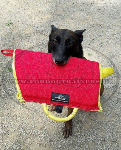 Training Nylcott Junghundarm-Schutzarm für Malinois