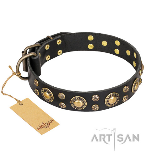 Hundefreundliches Halsband "Romantic Breeze" FDT Artisan