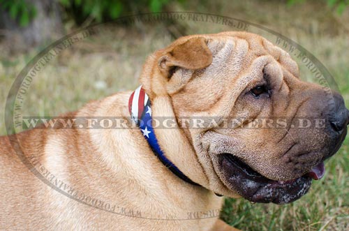 Shar Pei Designer Halsband "American Pride"|Hundehalsband Leder - zum Schließen ins Bild klicken