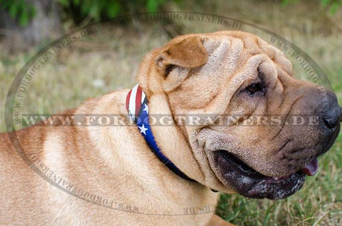 Shar Pei Designer Halsband "American Pride"|Hundehalsband Leder