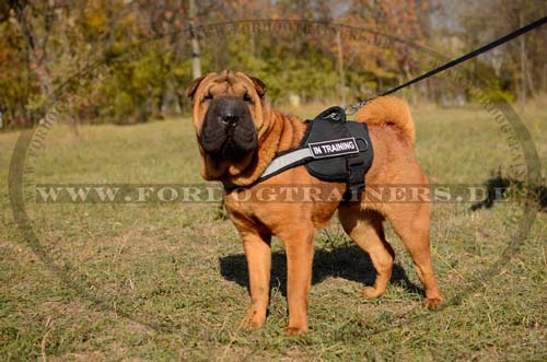 Dog Pull Harness Nylon, Power Training Harness for Shar Pei