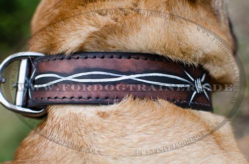 Shar Pei Halsband "Stacheldraht" |Hundehalsband mit Handbemalung