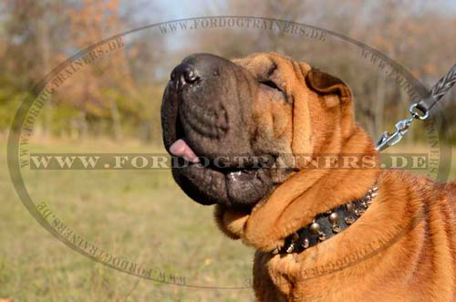 Halsband Leder für Shar-Pei | Lederhalsband Nieten für Hunde