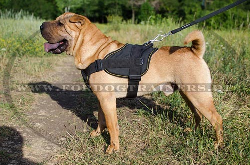 Sharpei Nylon Geschirr für Allwetter und Allzweck