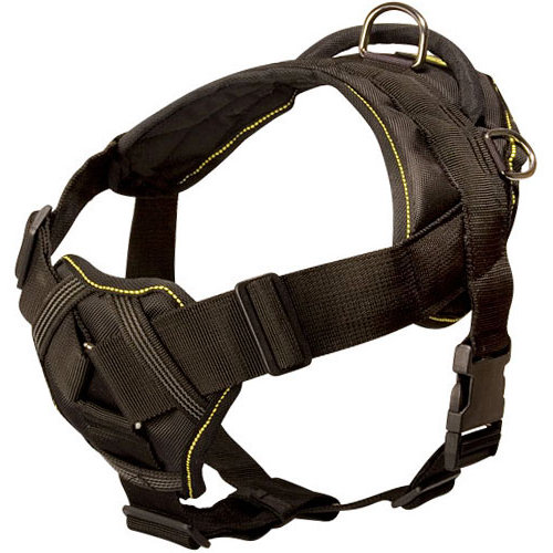 Large Dog Harness for Dogo Canario