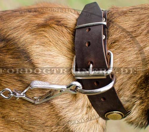 Classy Vintage Collar for Belgian Malinois Leather - Click Image to Close