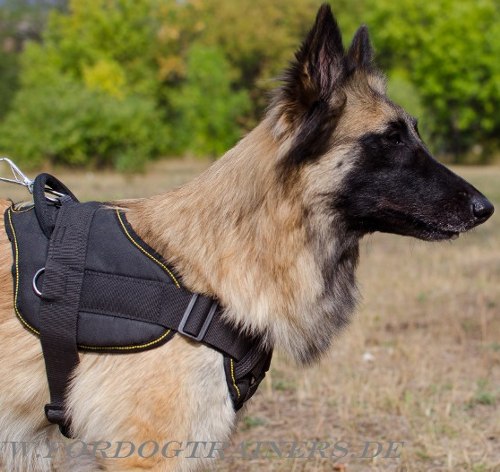 K9 Harness of Nylon for Tervuren - Click Image to Close