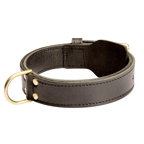 Leather Collar for Siberian Husky