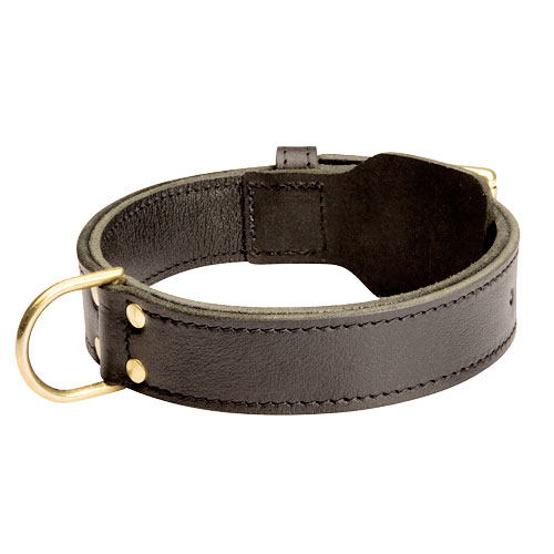 dog collar