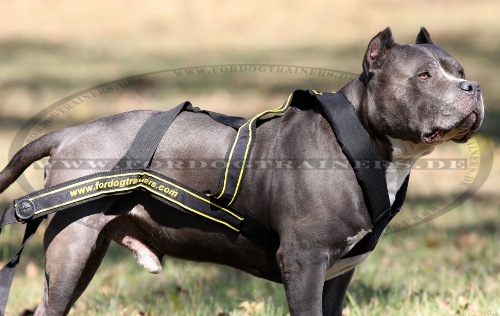 Fordogtrainers Weight Pulling Dog Harness | Nylon Dog Harness