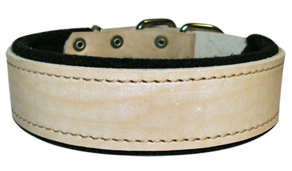 Doberman Leather dog collar padded with thick felt - Click Image to Close