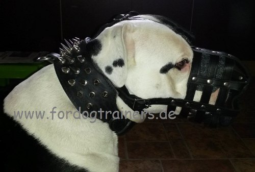 Bestseller Bulldogge Maulkorb aus Leder mit Super-Luftzirkulation