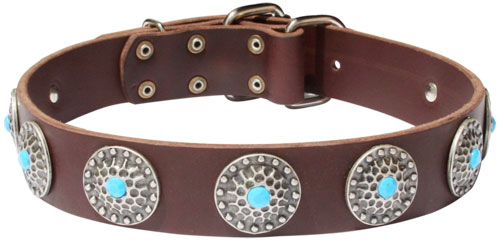 Leather Dog Collar with Blue Stones for American Bulldog