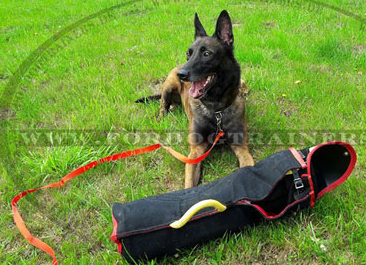 Beißarm mit Überzug aus French Linen für Hundetraining, stark - zum Schließen ins Bild klicken