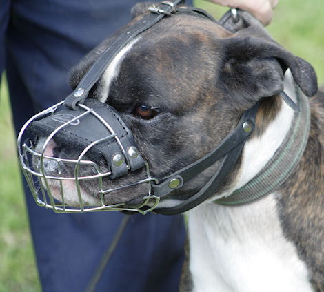 Wire Basket Dog Muzzle for Boxer