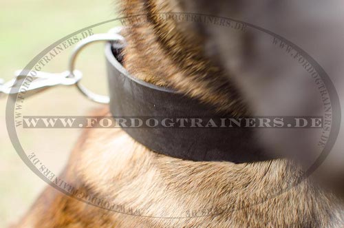 Großes Hundehalsband Leder breit für Schäferhunde, fünf cm