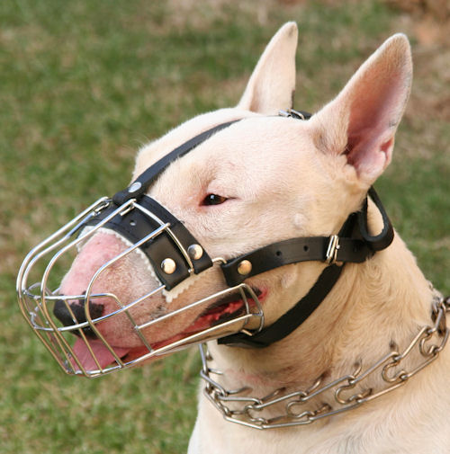 Wire Basket Dog Muzzle for Bull Terrier - Click Image to Close