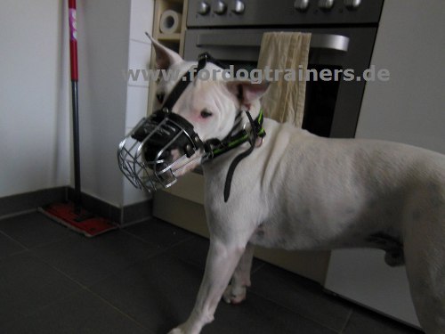 Wire Basket Dog Muzzle for Bull Terrier