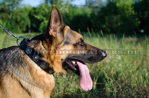 Deutscher Schäferhund Halsband mit Steine Design - zum Schließen ins Bild klicken
