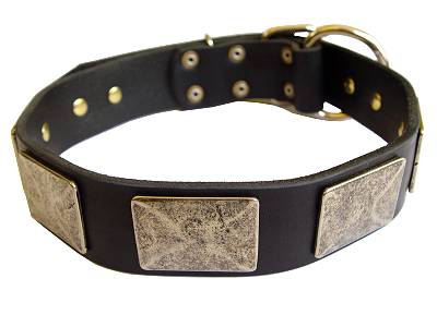Leather Dog Collar with Plates 