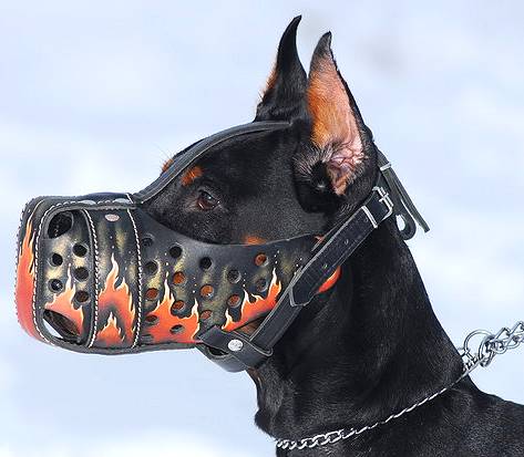 Bemalter Hundemaulkorb Flamme M77 für Dobermann