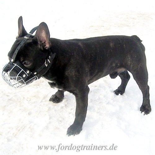 French Bulldog Wire Basket Dog Muzzle for small dog breeds