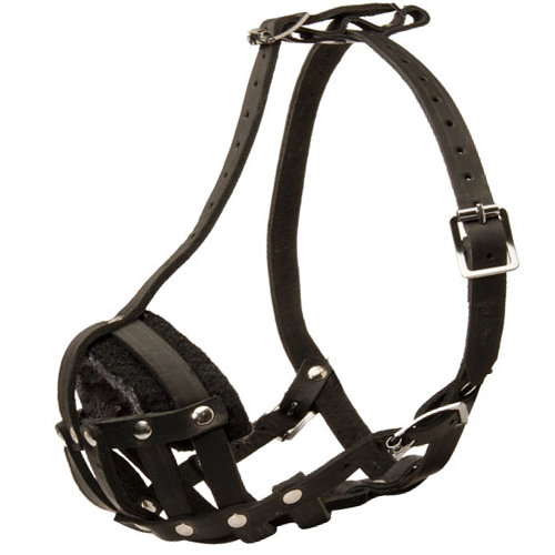 Muzzle French Bulldog Super Lightweight