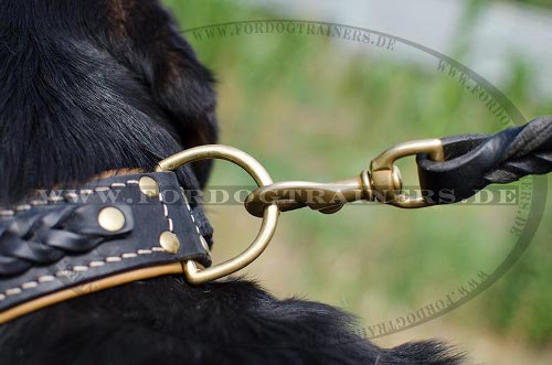 Sennenhund Halsband Gepolstert | Lederhalsband mit Flechten