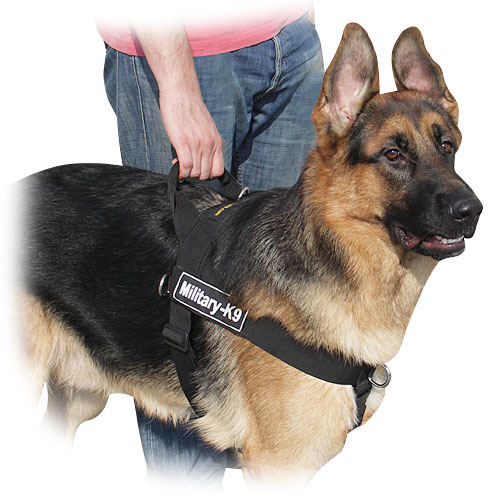 German Shepherd nylon  harness