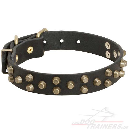 Studded Dog Collar from Leather decorated kaufen