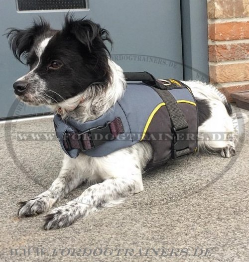 Nylon Dog Harness Vest with Handle|Harness for Rehabilitation