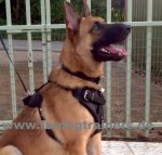 Protection,Attack Leather Dog Harness K9 for German Shepherd
