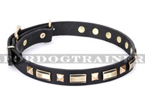 Hundehalsband Leder eng "Wealth Effulgence" FDT Artisan