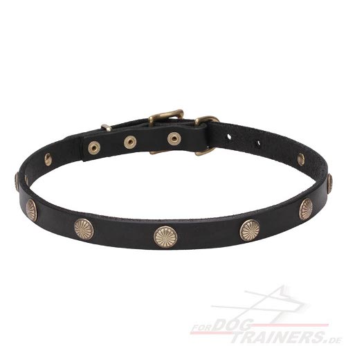 Leder Hundehalsband mit Feinem Nietendesign