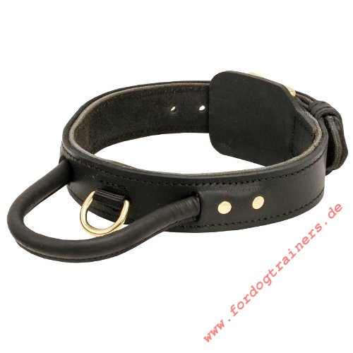Schutzhunde Halsband aus Leder mit Griff und Messing Schnalle