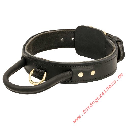 Golden Retriever dog collar leather extra wide black