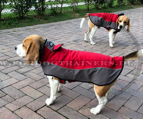 Hundemantel aus Nylon für Beagle, warm und bequem - zum Schließen ins Bild klicken
