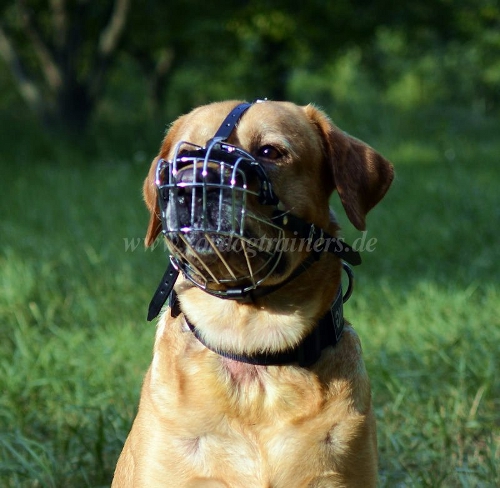 Wire Basket Dog Muzzle for Labrador