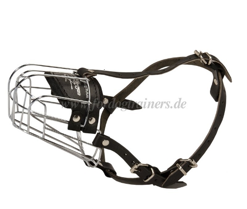 Wire Basket Dog Muzzle for Labrador