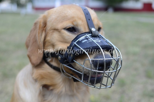 Bestseller Maulkorb für Labrador aus Draht - Bester Hundemaulkorb - zum Schließen ins Bild klicken