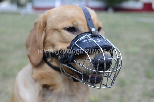 Wire Basket Dog Muzzle for Labrador