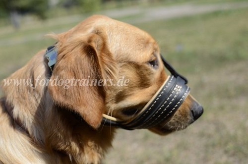 Nappa Padded Dog Muzzle for Labrador Anti Barking