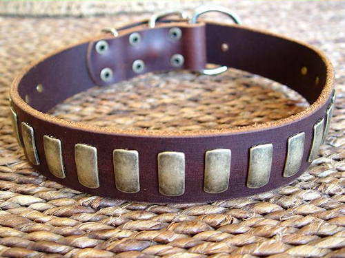 Gorgeous Wide Collar With Brass Plates for Doberman - Click Image to Close