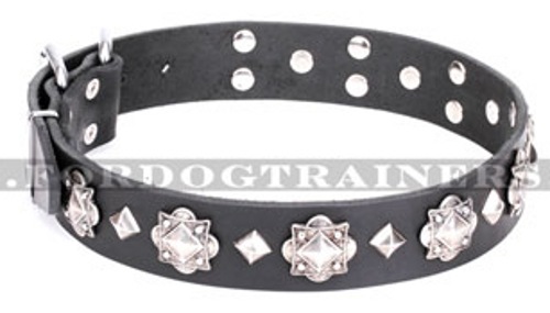 Leder Hundehalsband "Code of Chivalry" FDT Artisan, prächtig