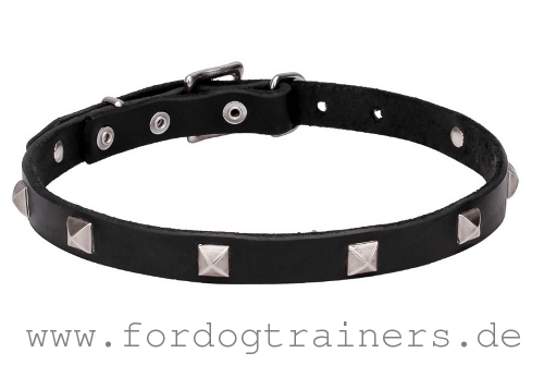 Hundehalsband Leder eng mit Design-Dekor, elegant