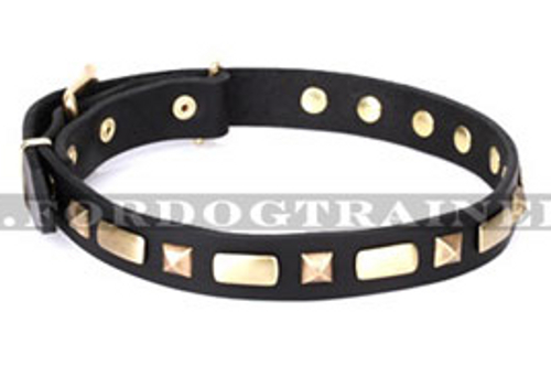 Hundehalsband Leder mit exklusiver Messing-Handverzierung