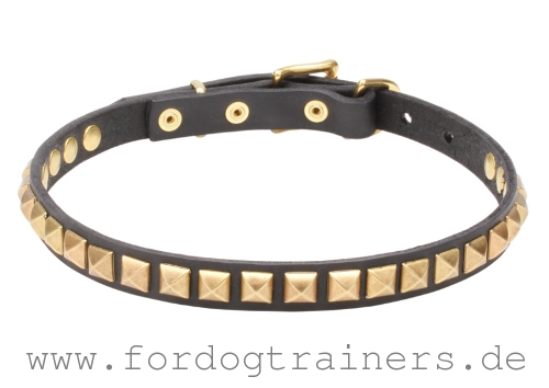 Hundehalsband Leder mit Messing-Dekor, elegant und stilvoll