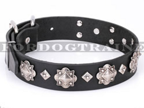 Hundehalsband Leder breit in exklusivem Design, stark und sicher