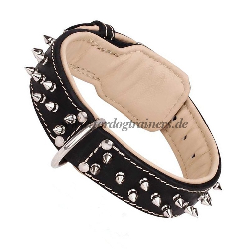 Nieten Halsband mit Spikes aus Leder, Online bestellen