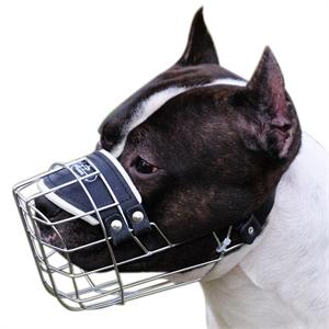 Best wire dog muzzle perfect for Amstaff